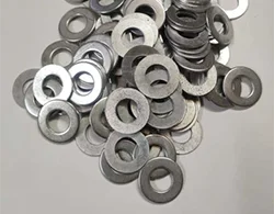 Alloy 718 Flat Washers